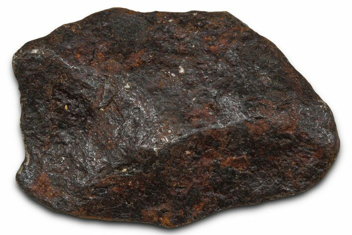 Canyon Diablo Iron Meteorite ( g) - Arizona #381998